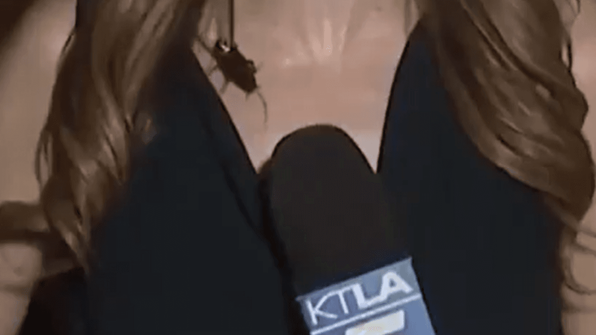 Notícia